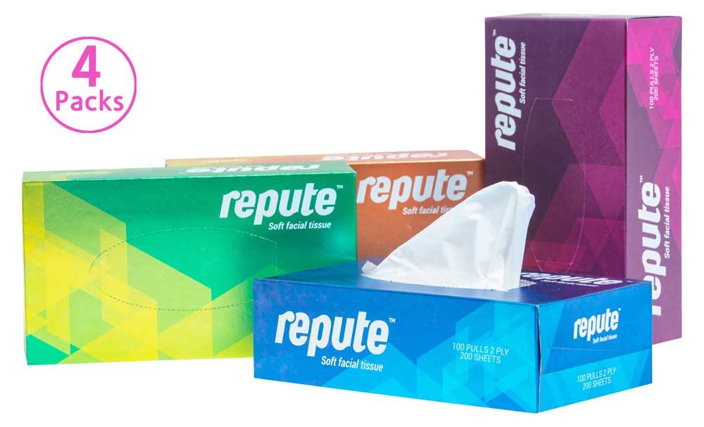 Facial Tissue 100pulls (Pack of 4)