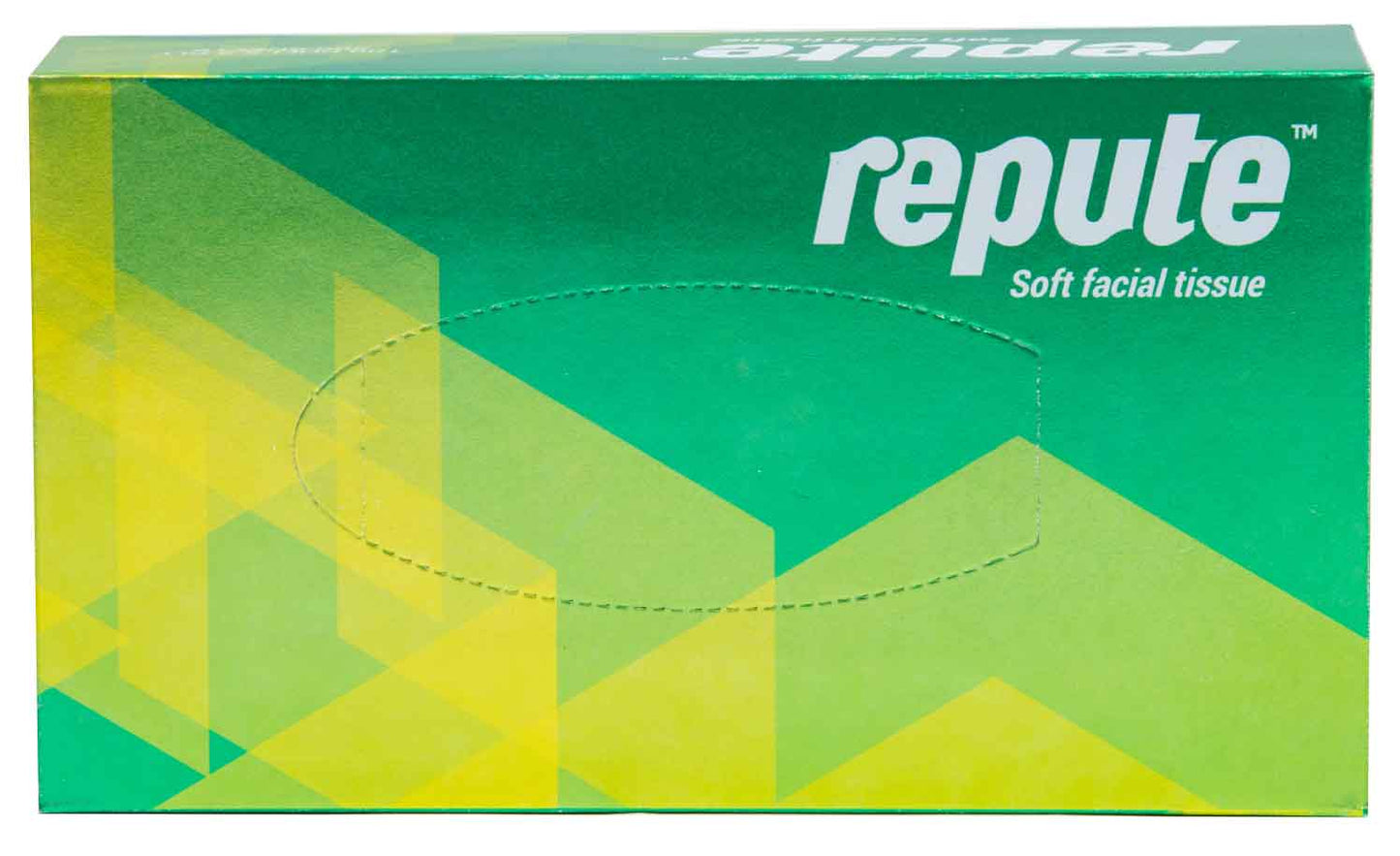 Facial Tissue 100 Pulls (1 Box)